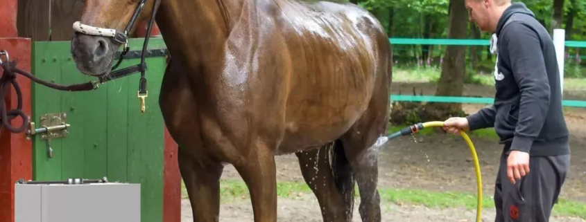 hot horse shower from Flexiheat UK; gas horse shower professional;equine hot water system;hot horse shower for sale